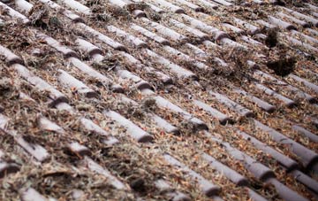 Kirk Merrington roof cleaning companies