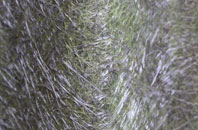 Kirk Merrington fibreglass roof work